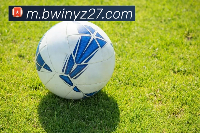 bwin必赢亚洲官网平台平台生态图